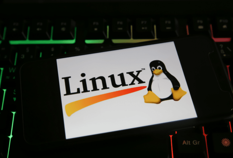 Krytyczna luka umożliwia instalowanie ransomware w Linuxie